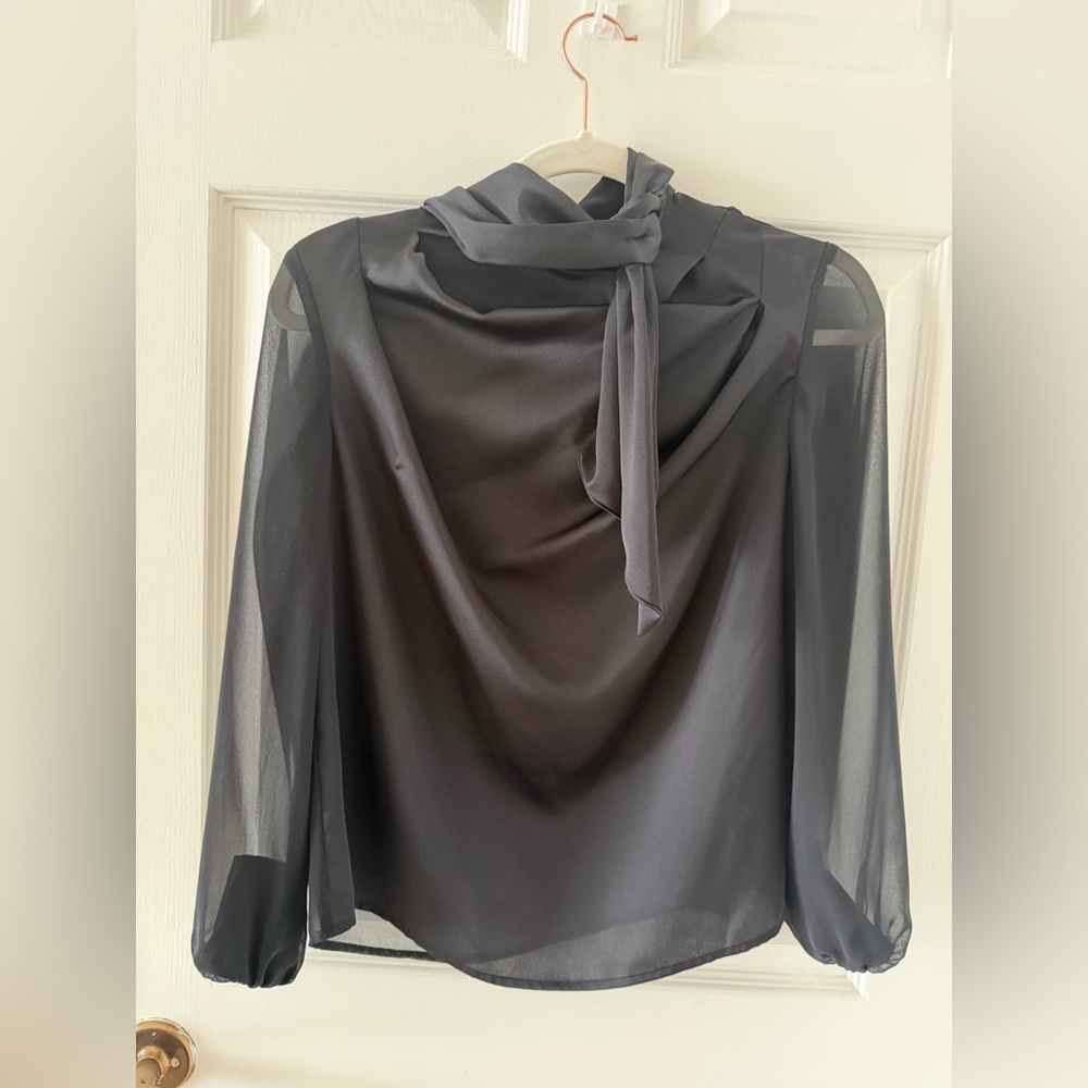 Zara Black Sheer Sleeve Blouse